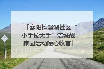襄阳檀溪湖社区“小手拉大手”洁城靓家园活动暖心收官